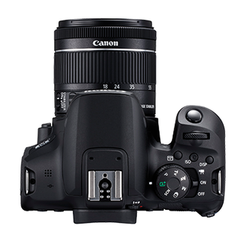 EOS 850D (EF-S18-55mm f/4-5.6 IS STM)