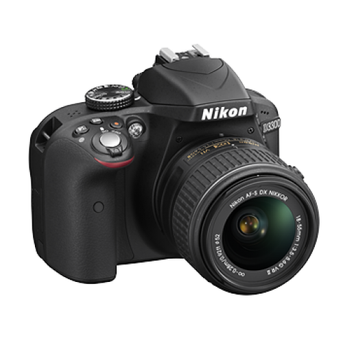 D3300