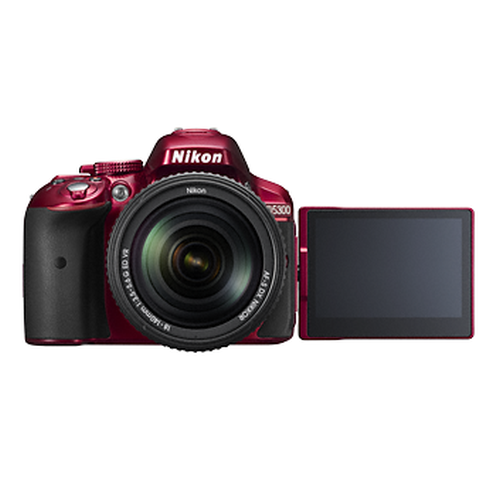 D5300