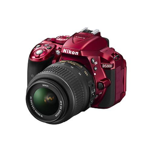 D5300